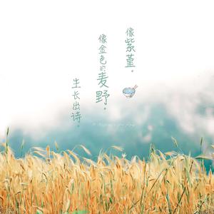 我想你㖭我的BB
